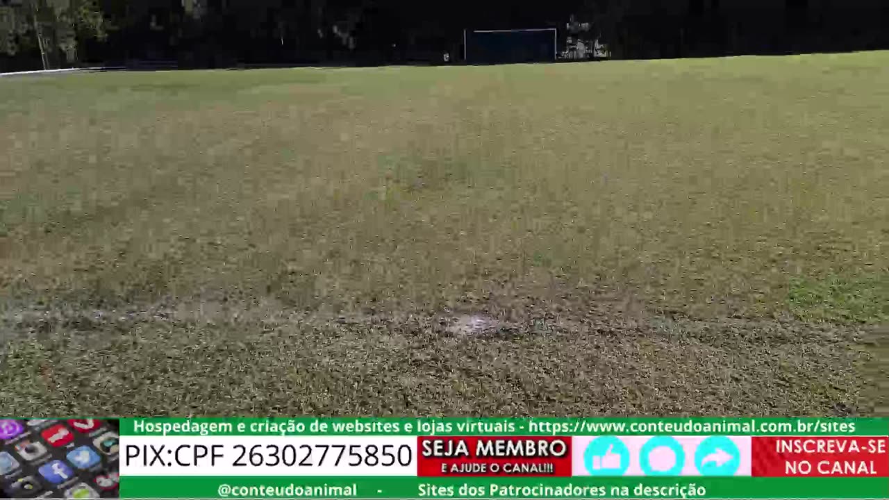 existe limite mínimo de bateria senão controle não permite decolagem ... entre 30 e 20%