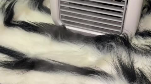 Shop now https://www.tiktok.com/tag/tiktokmademebuyit