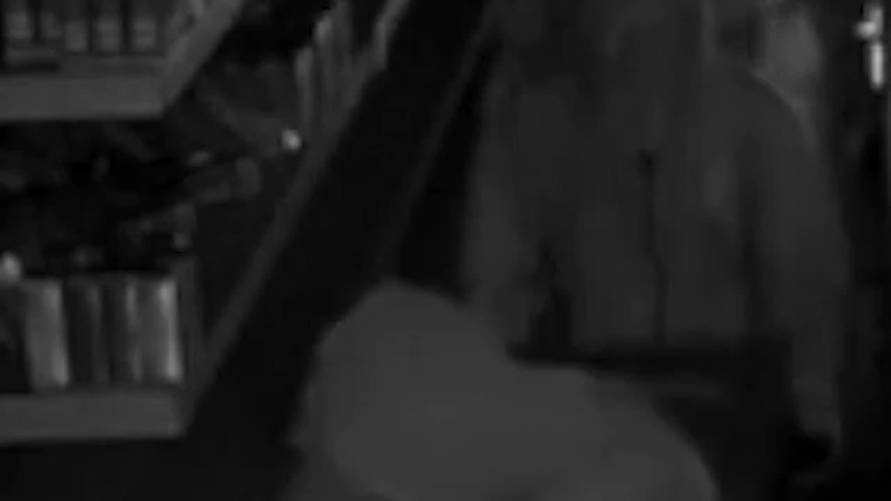 Suspects Smash Store with Vehicle, Load Merchandise Into Trash Cans