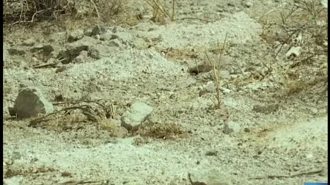 Over 100 Cremated Remains Dumped Outside Las Vegas