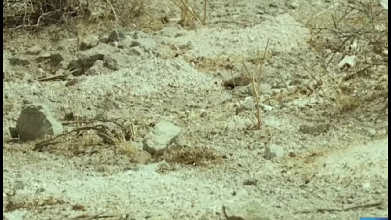 Over 100 Cremated Remains Dumped Outside Las Vegas
