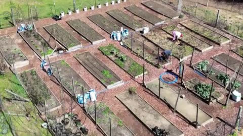 Planting the Garden