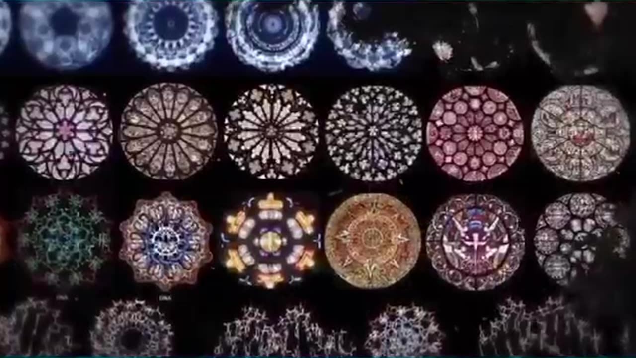 The Music DNA Connection.