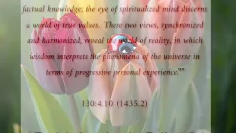 Harmonized Visions