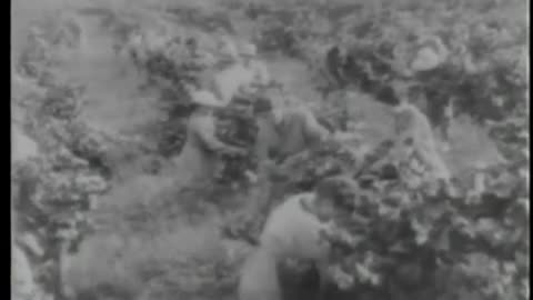 [STOCK NEWSREEL EXCERPTS] - [STOCK NEWSREEL EXCERPTS] - cbs-cbswwi-233