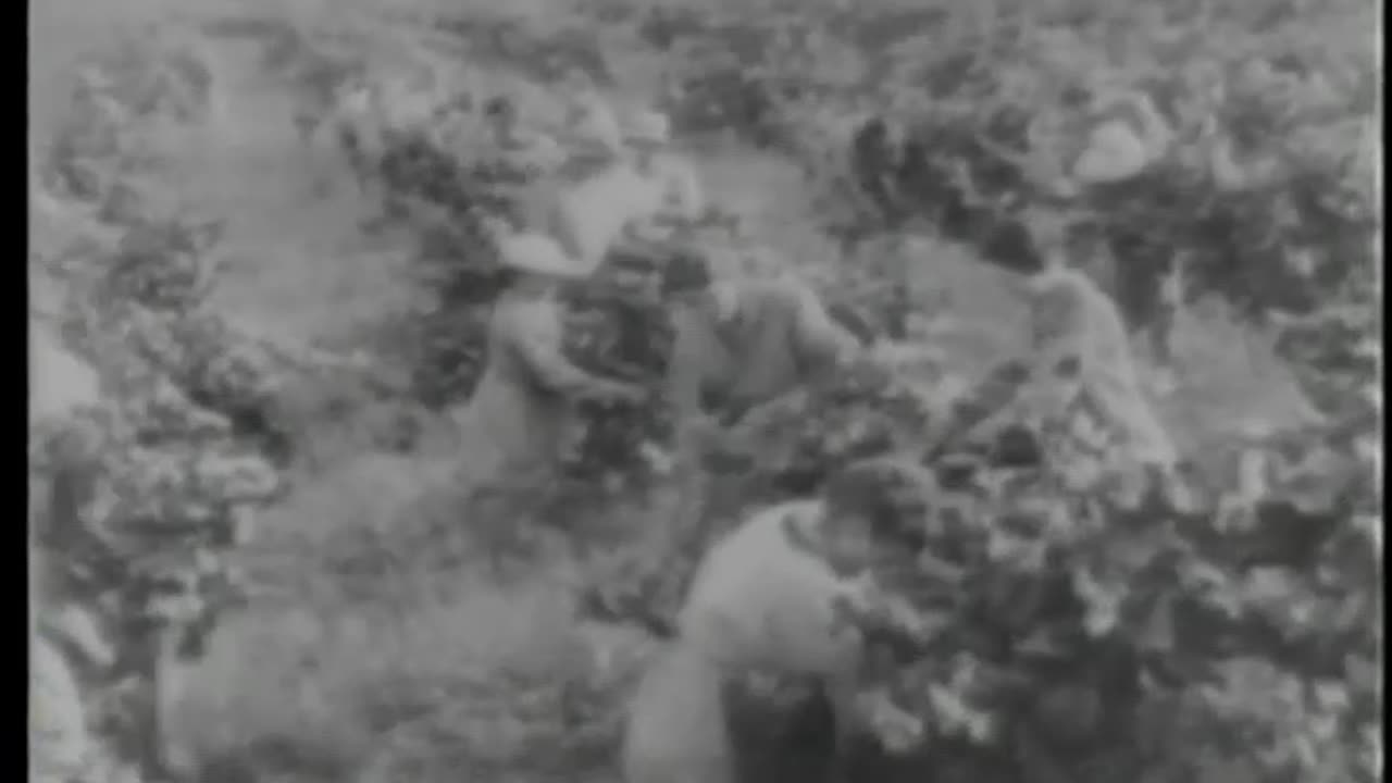 [STOCK NEWSREEL EXCERPTS] - [STOCK NEWSREEL EXCERPTS] - cbs-cbswwi-233