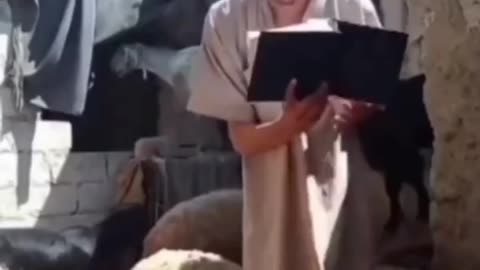 Wonderful Funny Pets #Shorts #Viral #Pets