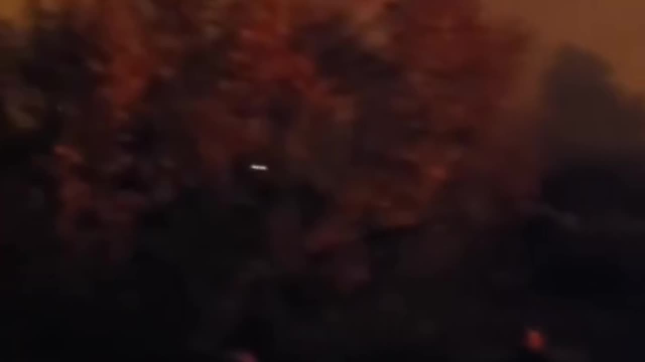 Zjarr i Malësinë e Madhe shuhet pas 5 orë përpjekjesh,