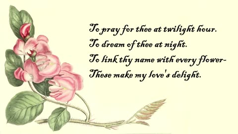 Acacia, Rose - The Language of Flowers