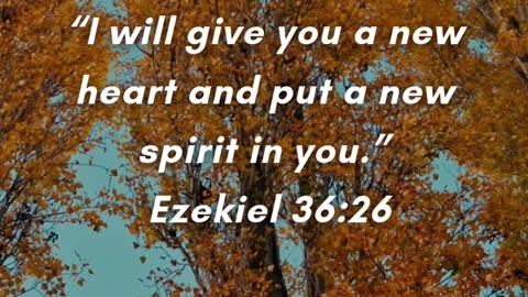 God didn’t just change my habits—He transformed my heart.