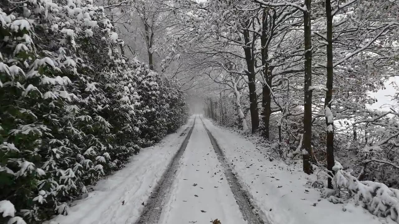 Snowy Road