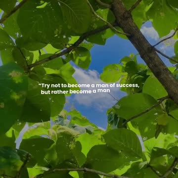 Try not to become a man of success, but rather become a man of value.