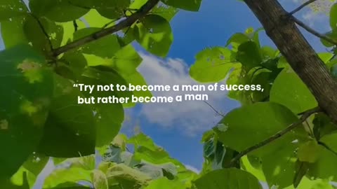 Try not to become a man of success, but rather become a man of value.