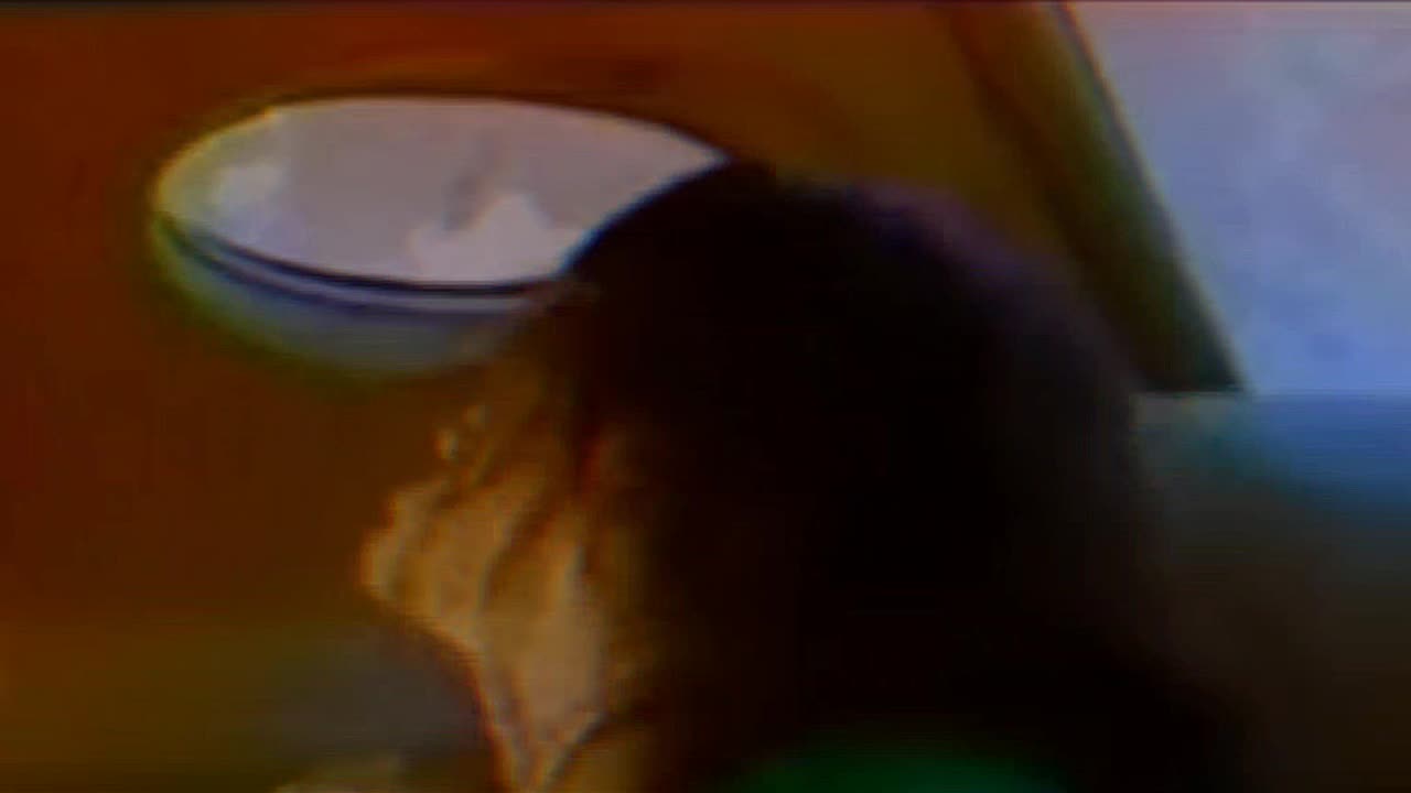 Ozzy Osbourne Concert Intro Clip: Ironic #shorts #funnyshorts #youtubeshorts