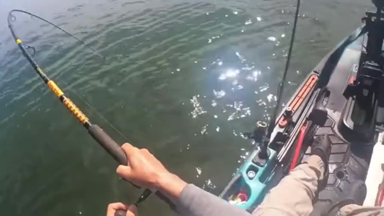 Hooking up WRONG fish