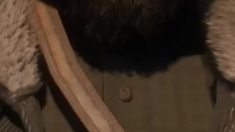 Why My Dad Would Have Loved RDR2