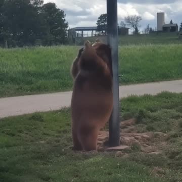 Twerk it 🤣👍👍