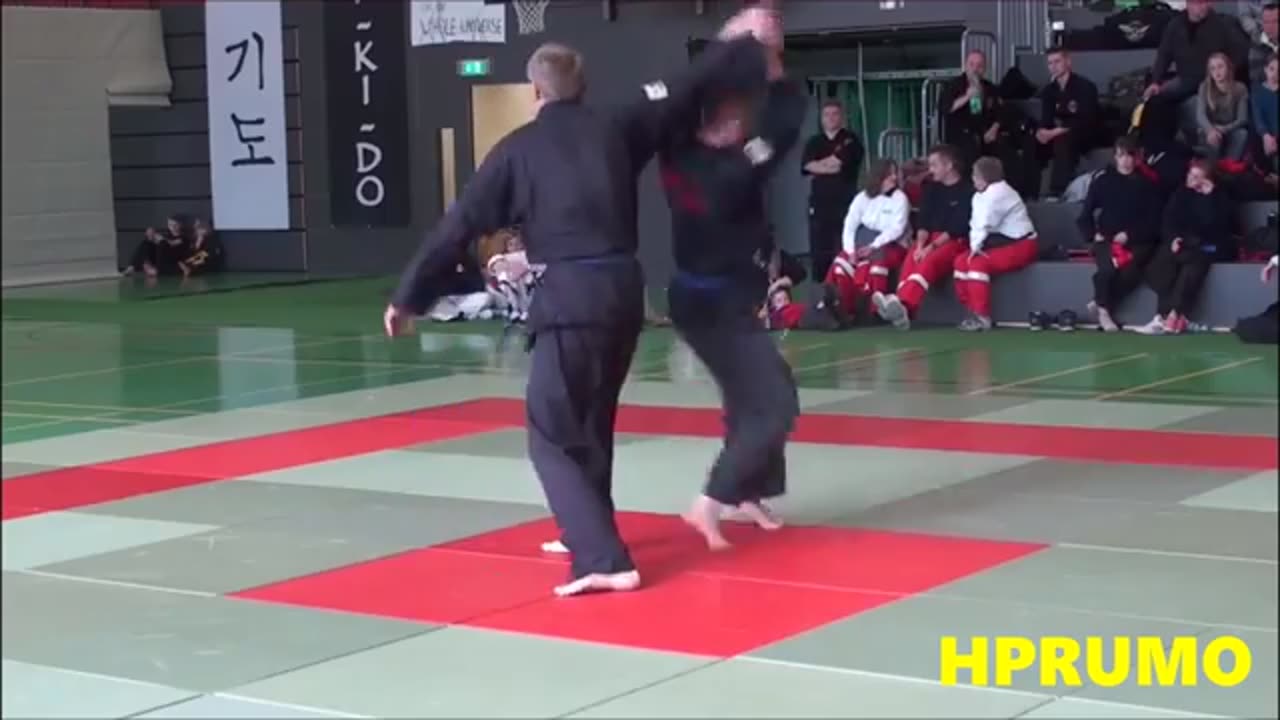 Hapkido