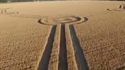 👽🌾 Mysterious Crop Circles: Alien Art or Human Hoax? | TheTruthAbove