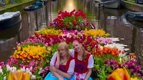 🇳🇱 A boat trip along the canals of Amsterdam with the scent of Dutch tulips