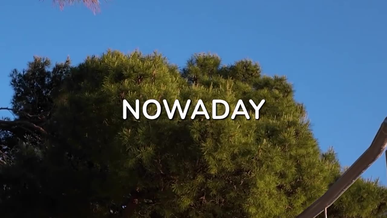 It Wasn’t Like This When We Were Young