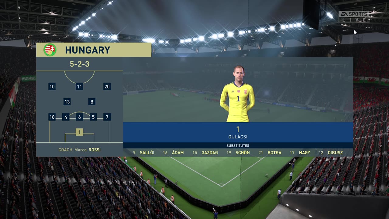 Hungary and Wales - Fifa game