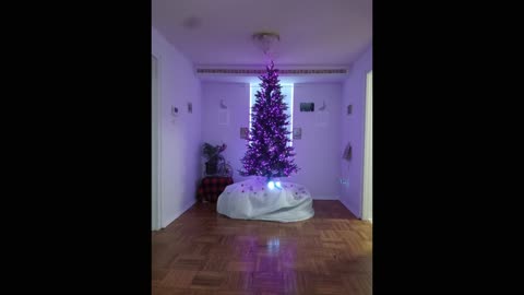 **Merry Christmas 2025** On Purpose!! Dec252025