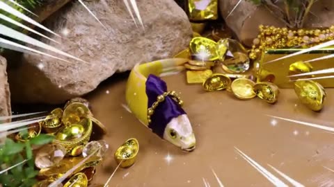 KOI Fish Hunting in Stop Motion - ASMR Nature Sounds