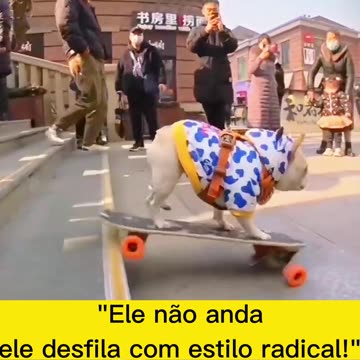 "Skateboarding in the Blood!"