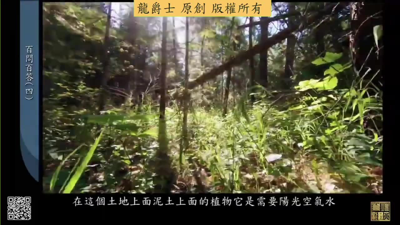 【龍爵士】千問千答 Q26 增豔燈對水草有幫助嗎