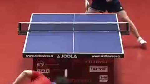 Must Watch: Absolutely INSANE Table Tennis Defense from Yang Wang ! #tabletennis