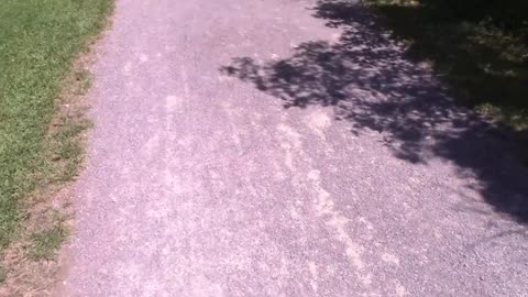 Lemoine Park Speed Run Part 2 Summer of 2020