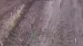 Ukrainian Countryside Covered in Fiber-Optic Cables