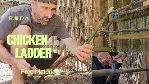 How to Build a Natural Chicken Ladder