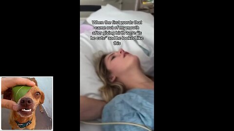 Funny videos compilation 82