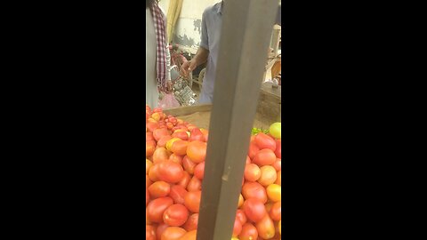vegetables fresh video