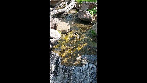 tranquil waterfall