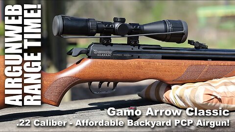 Gamo Arrow Classic 20 Yard Range Time - Power, Pellets, Accuracy - Does it get the job done?