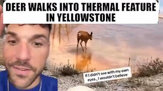 They LIED to us about this too... (A must see)