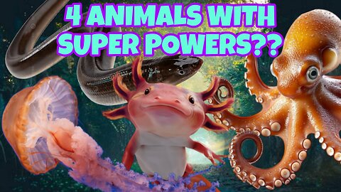ANIMALS WITH SUPER POWERS?? 😲😲😲
