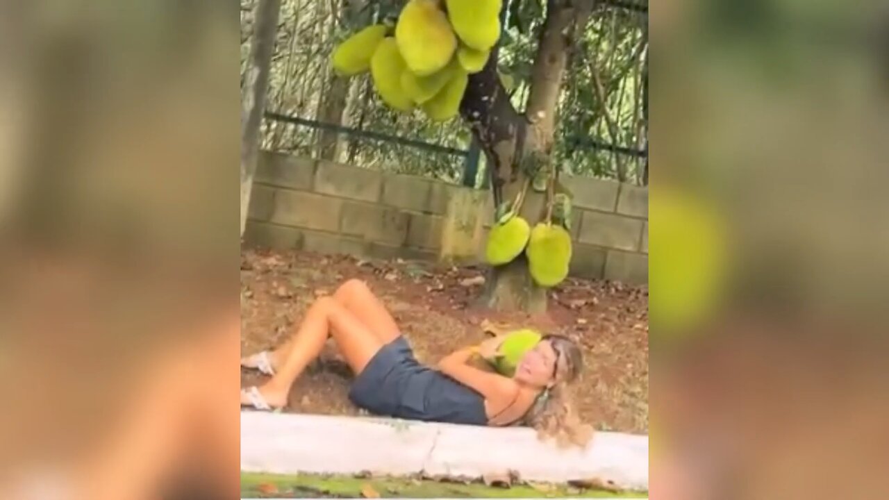 Try not to laugh 😂