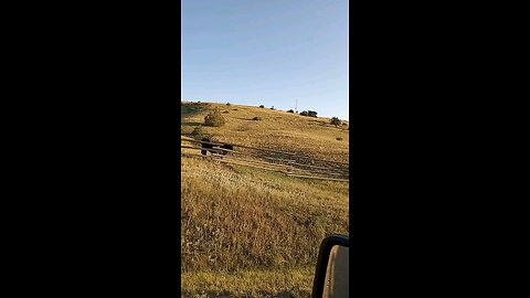 Big Elk