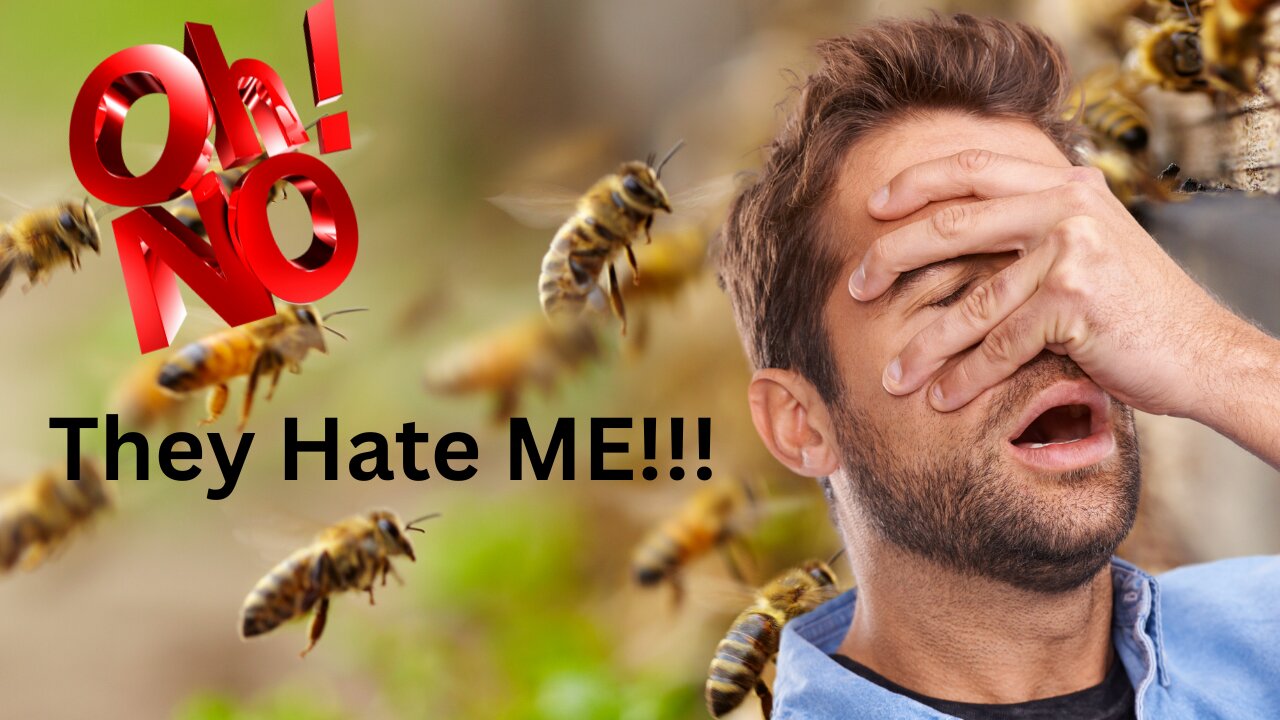 OH NO!! They HATE ME!!!