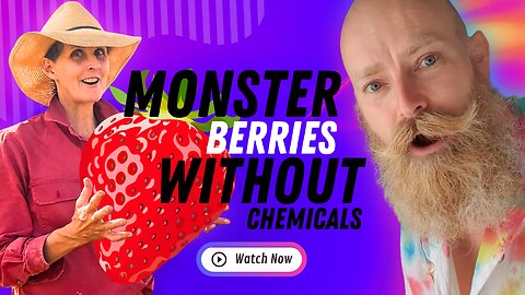 MASSIVE BERRIES WITHOUT CHEMICALS: Local Farm Secret Revealed | Natural Growing SUCCESS