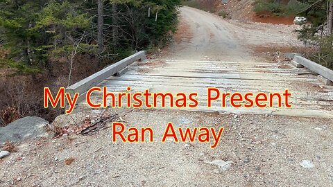 Ditch Chicken Huntin'