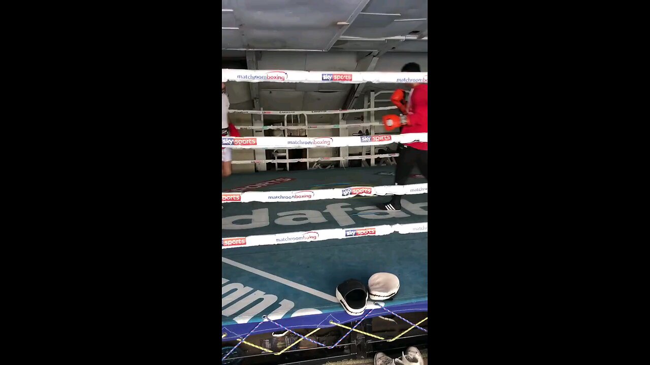 sparring 2