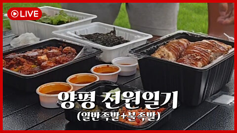 [🔴LIVE] 양평 전원일기 일반족발, 불족발 먹방