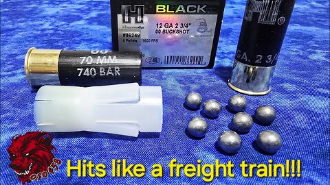 Hornady Black 12GA: DEVASTATING 00 Buckshot Power!