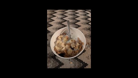 my breakfast and lunch