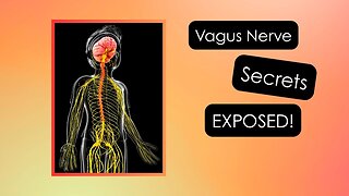 Vagus Nerve Secrets EXPOSED!